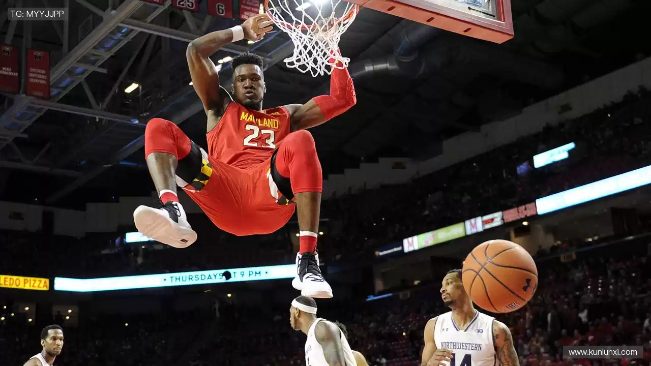 📱🏀 直播时刻,随时掌控!