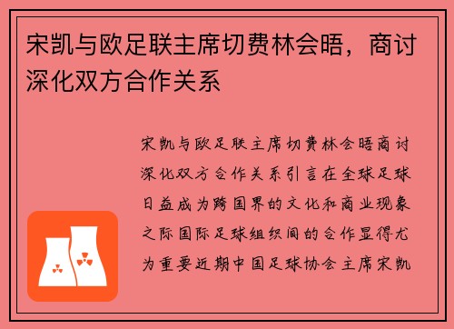 宋凯与欧足联主席切费林会晤，商讨深化双方合作关系