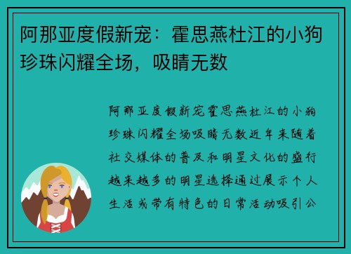 阿那亚度假新宠：霍思燕杜江的小狗珍珠闪耀全场，吸睛无数